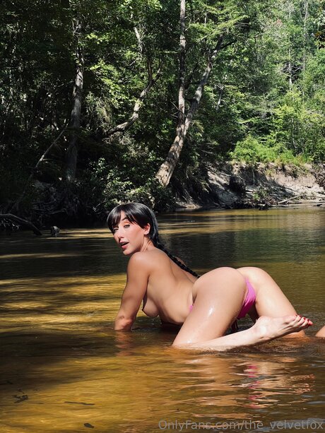 The Velvetfox meilleure étoile photo