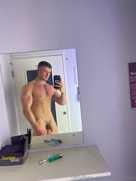 Fit Davie haut étoile galerie