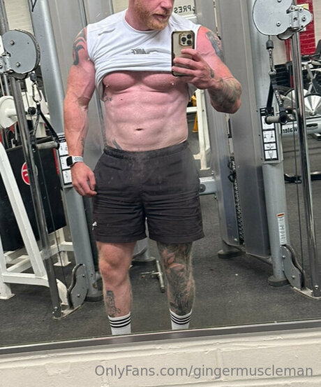 Gingermuscleman étoile hd collection