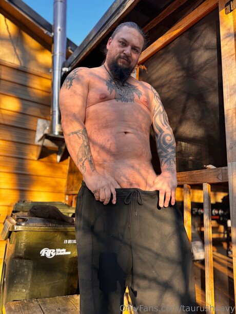 Taurusheavy nus star du porno image