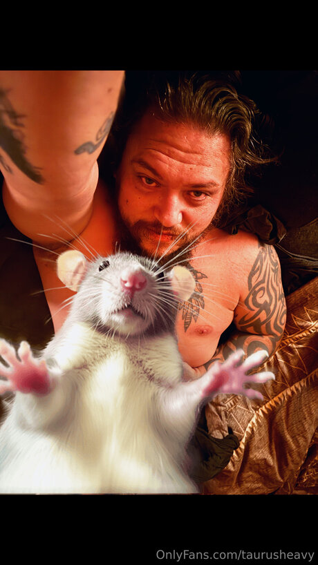 Taurusheavy meilleure star du porno photo