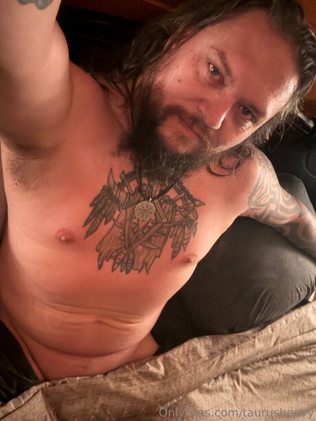 Taurusheavy modèle de haute qualité galerie