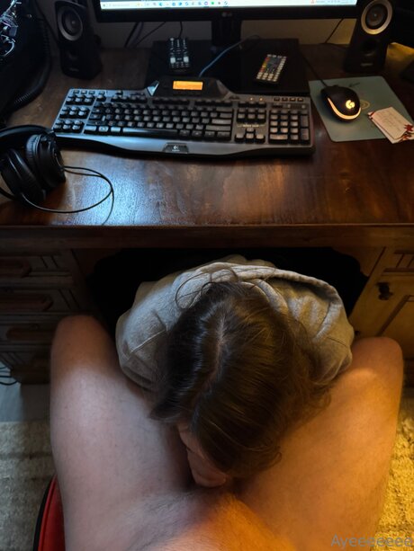 Davidgames actrice adulte archive