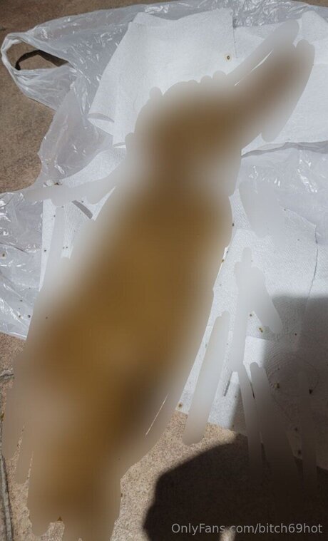 Bitch69hot modèle sexy archive