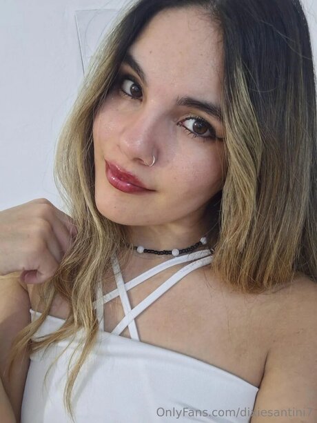 Dixiesantini7 étoile nue galeries