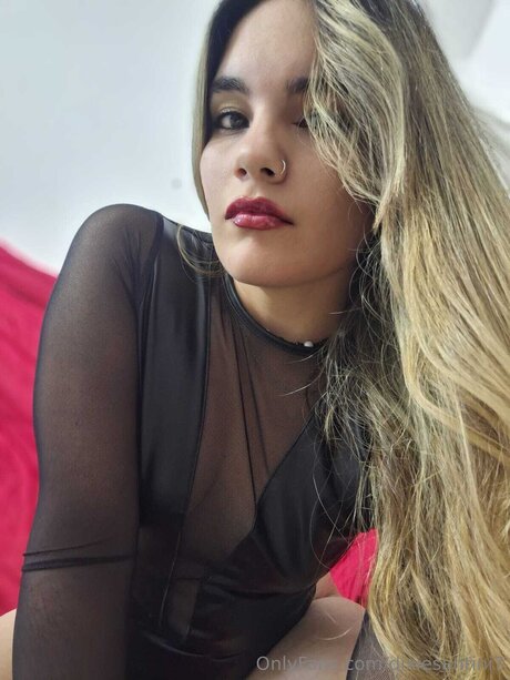 Dixiesantini7 étoile nue img