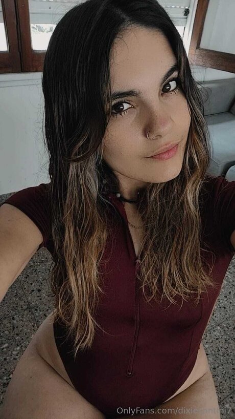 Dixiesantini7 modèle xxx collection