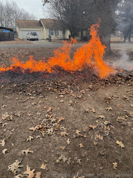 Man Of Your Dream star du porno sympa photos