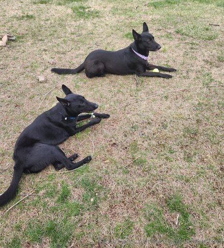 Kirstenkrawford modèle photos