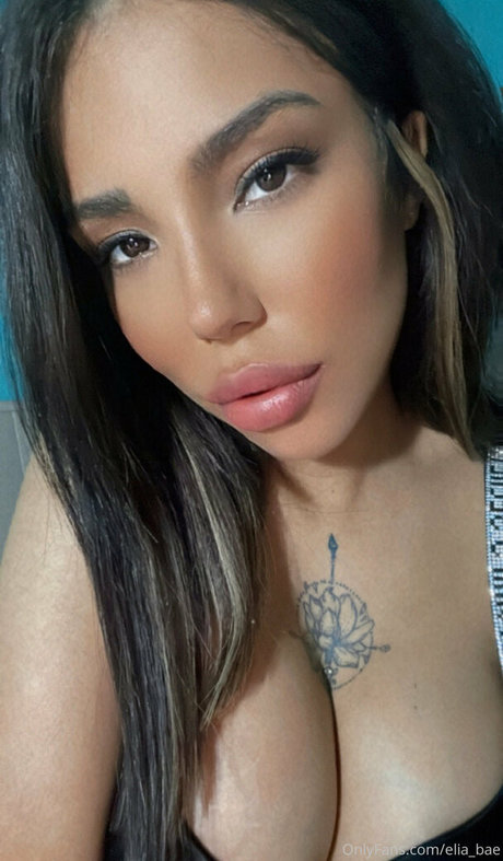 ameliereve7 haut modèle galeries