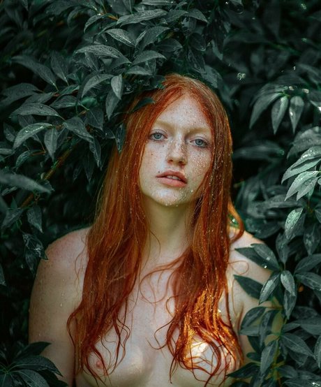 Lilianna Ruger haut étoile galerie