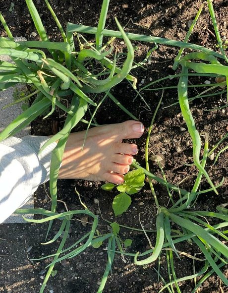 sunnymei belle actrice archive