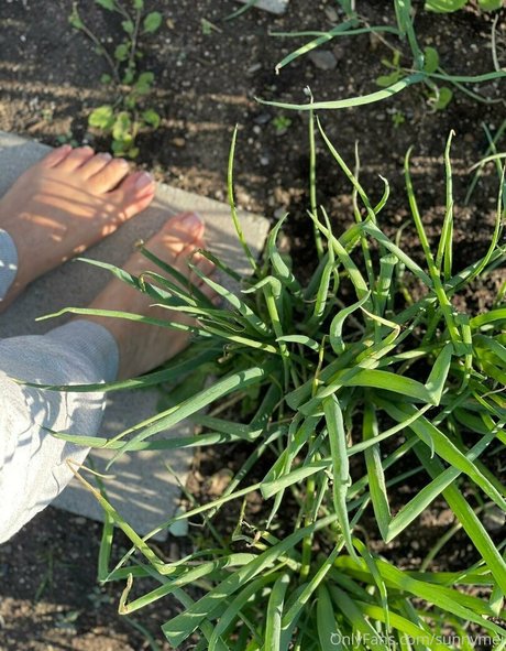 sunnymei art étoile image