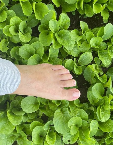 sunnymei belle étoile collection