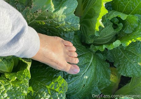 sunnymei star du porno photos