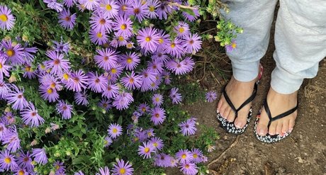 sunnymei meilleure actrice galeries