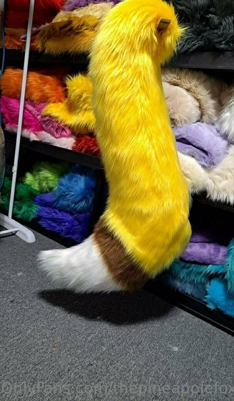 thepineapplefox modèle de sexe collection