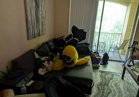 thepineapplefox étoile exclusive archive