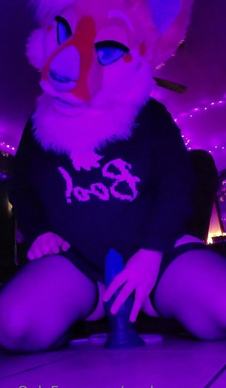 nuclearpuppo top star galeries