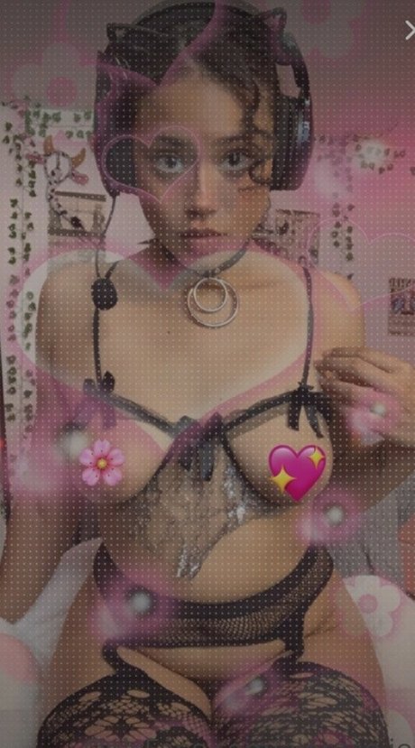 Hellazebra xxx étoile img