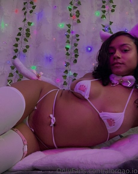 Hellazebra sexe de star du porno collection