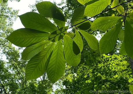 rukiabrat star du porno érotique photos