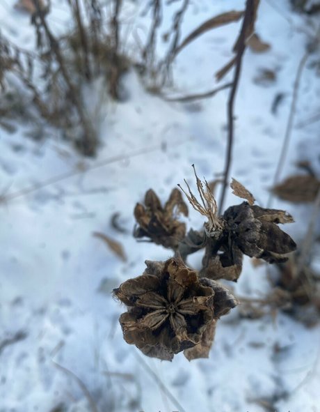 rukiabrat actrice hd galeries