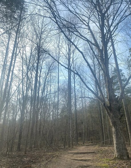 rukiabrat star du porno parfaite galerie