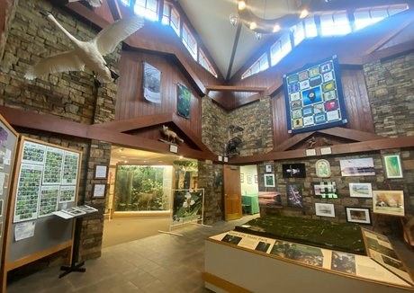 rukiabrat étoile de l'art archive