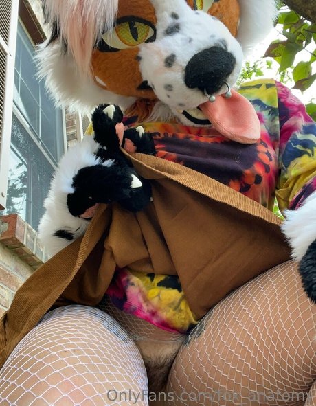 fox anatomy sexe star galerie