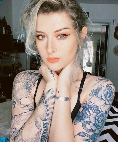 Mothica modèle collection