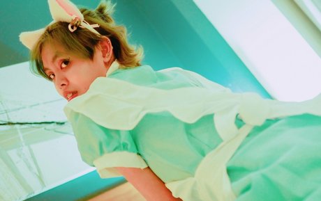 bibbob étoile de haute qualité images