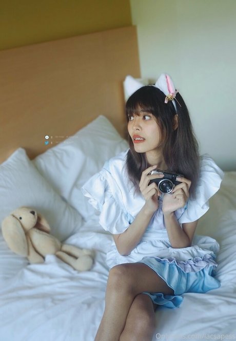 bibbob star pornographique photos