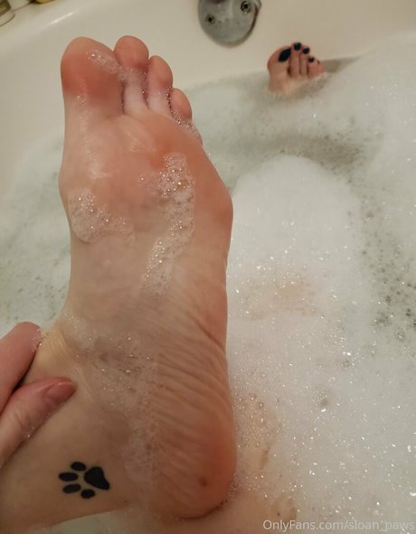 sloan paws modèle gratuit galerie