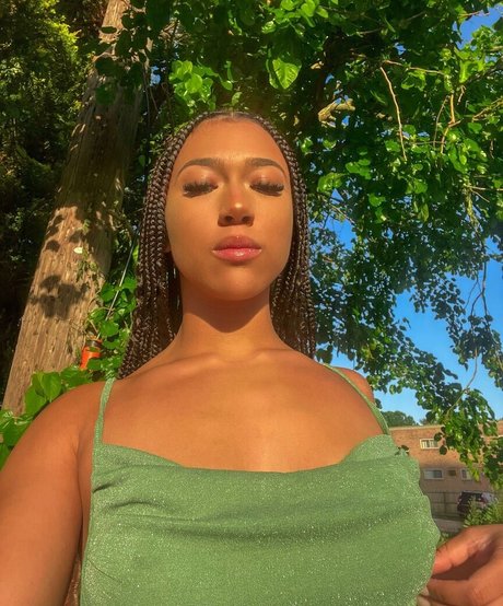 Heaven Collins art de star du porno archive