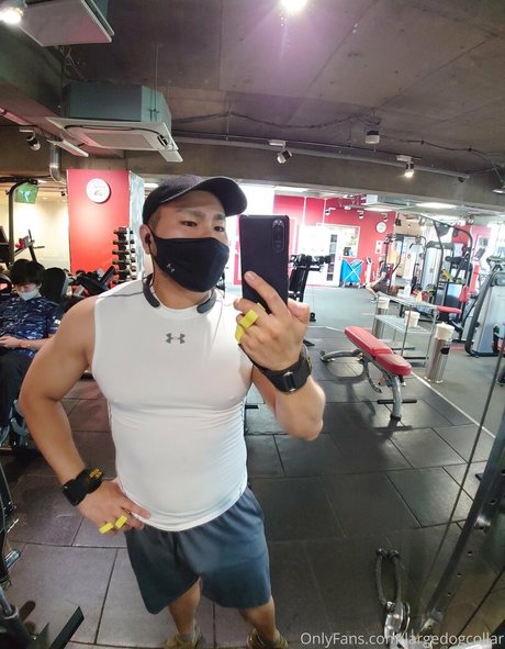 largedogcollar actrice exclusive photos