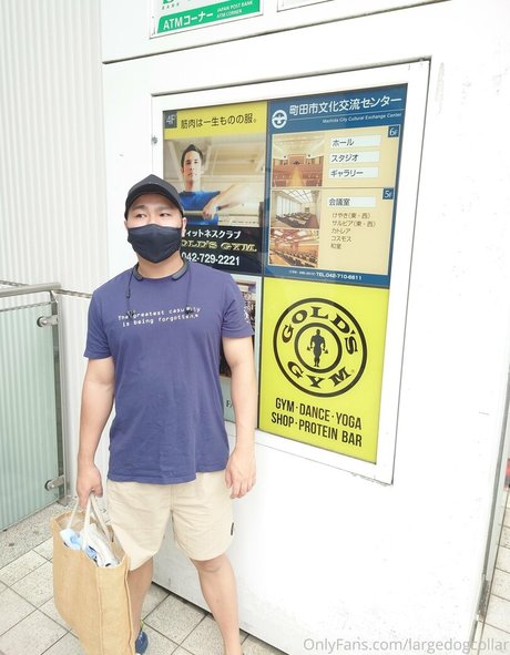 largedogcollar actrice parfaite galerie