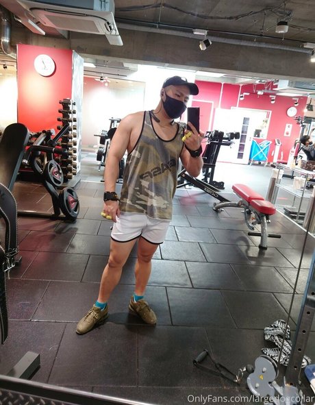 largedogcollar Profilfoto