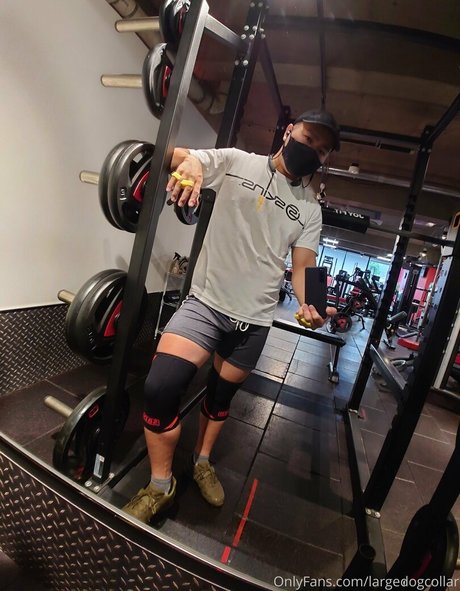 largedogcollar star érotique photos