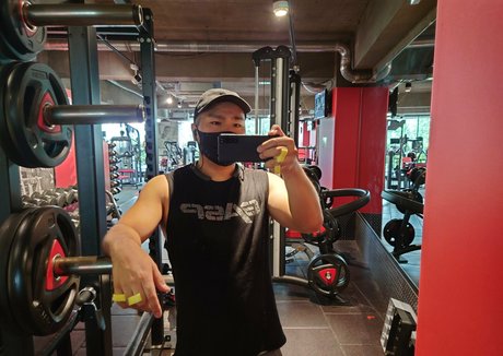 largedogcollar actrice de grande qualité img