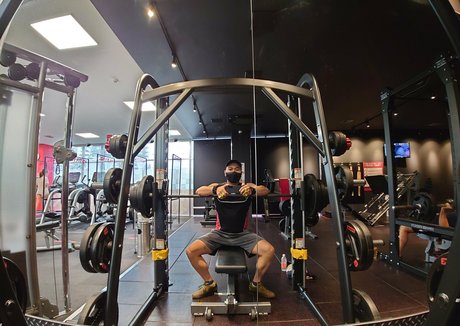 largedogcollar haut de star du porno archive