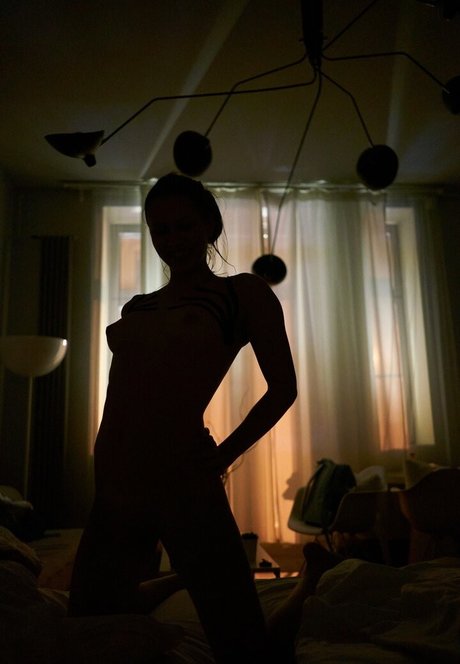 Megakikiboy nus de stars du porno galeries