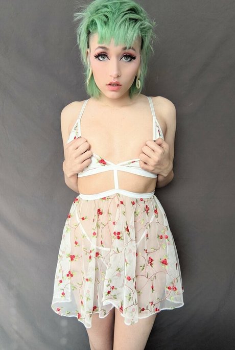 the land of odd étoile gratuite photos