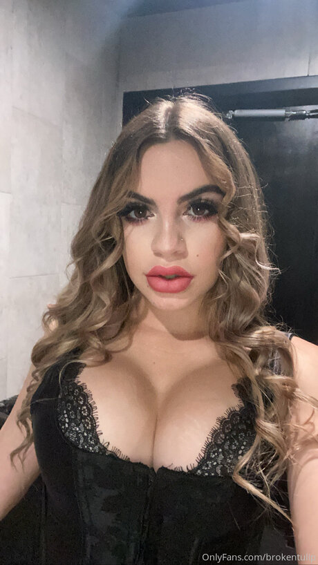 Starkyln meilleur modèle galeries