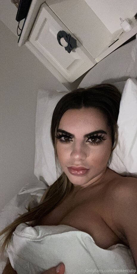 Starkyln étoile adulte photo