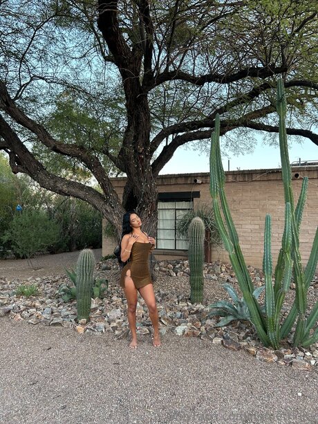 Itsmetrinity actrice pornographique images