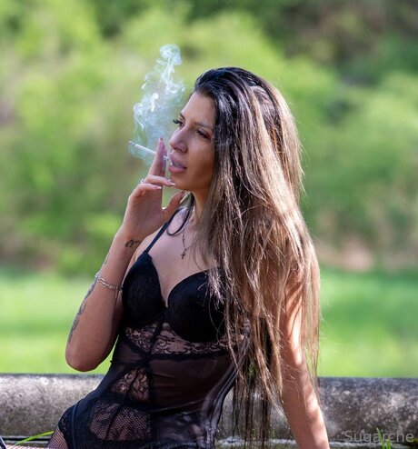 Sugarche modèle de haute qualité collection