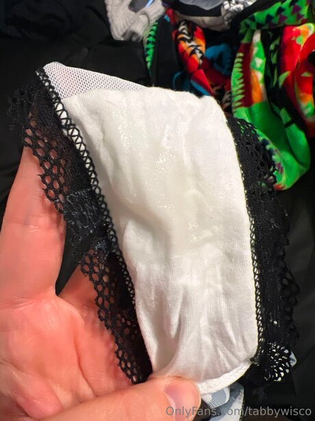 Tabbywisco étoile adulte archive