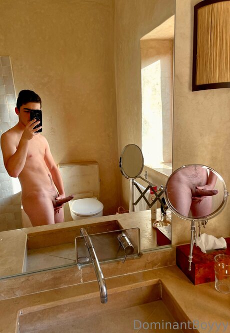 Dominantboyyy étoile parfaite galeries