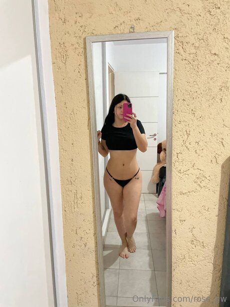 Kindlerose étoile nue collection